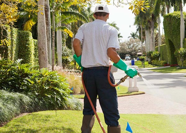 About Tipton CA Pest Control